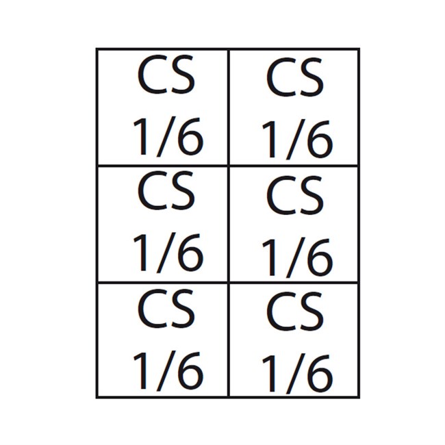 Composizione cuocipasta cesti 6